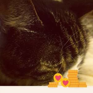 Meet your Posher, Meredith